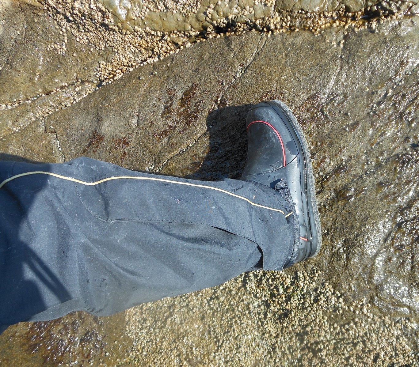 2014年04月07日 OK, 長靴, 江の島, ウノクソ, 磯釣り
