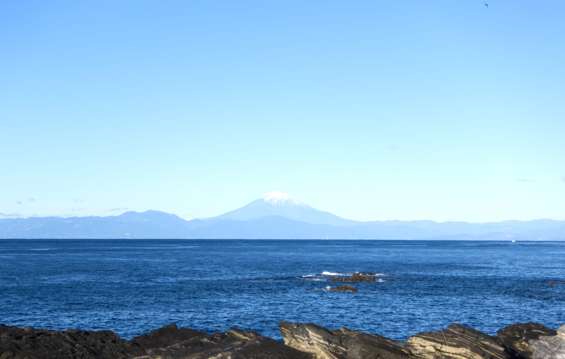 釣り, 三浦, 城ヶ島, 磯釣り